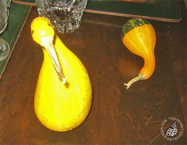 gourd-duck.jpg