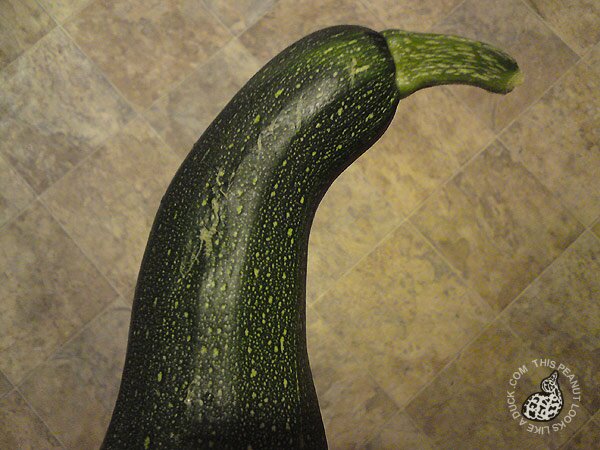 courgette-duck